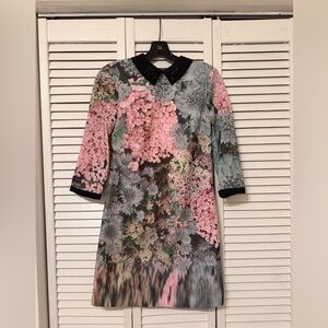 Ted Baker Pink and Black Floral Long Sleeve Dress